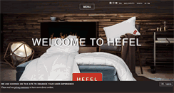 Desktop Screenshot of hefel.com